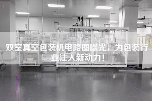 双室真空包装机电路图曝光，为包装行业注入新动力！