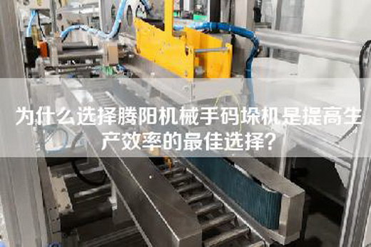 为什么选择腾阳机械手码垛机是提高生产效率的最佳选择？