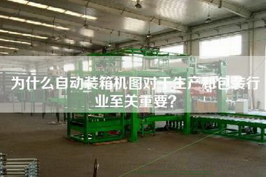 为什么自动装箱机图对于生产和包装行业至关重要？