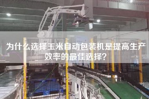 为什么选择玉米自动包装机是提高生产效率的最佳选择？